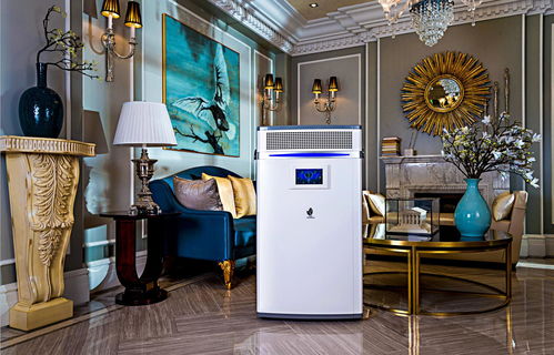 洛陽新雨環(huán)保科技批發(fā)價(jià)格 洛陽新雨環(huán)保科技生產(chǎn)廠家