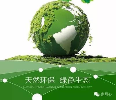 鳳凰老江發現 環保科技如何定義新時代的綠色生態好產品